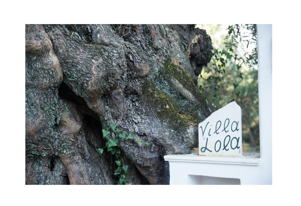 Villa Lola - 3 Bedrooms & Private Pool Lithakia (Zakynthos) Exterior foto